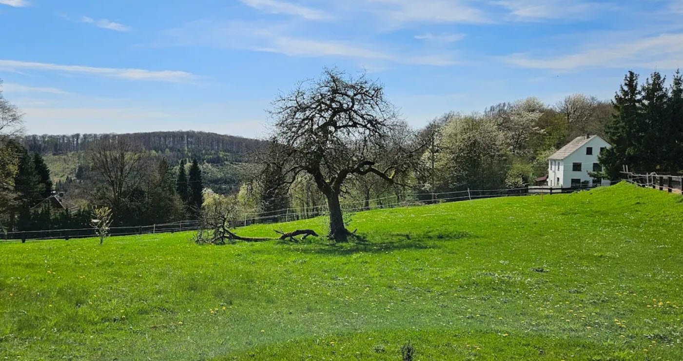 Schlosspark Allner, Hennef, Germany, Germany
